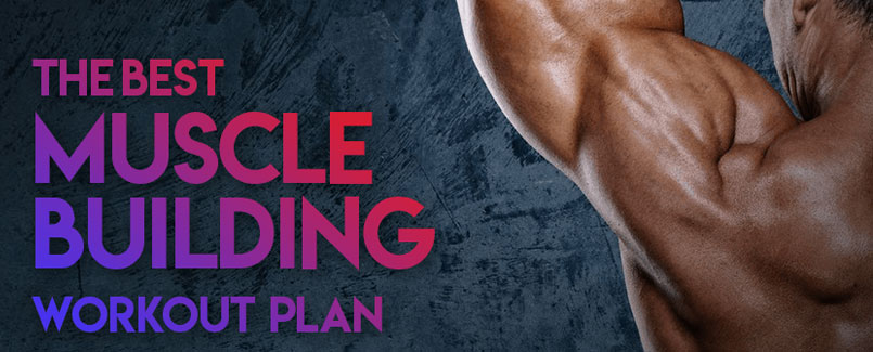 muscle-gaining-plan-men-women